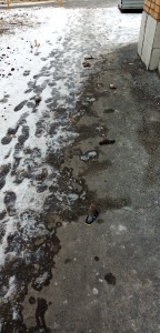 Птичка - 2.jpg